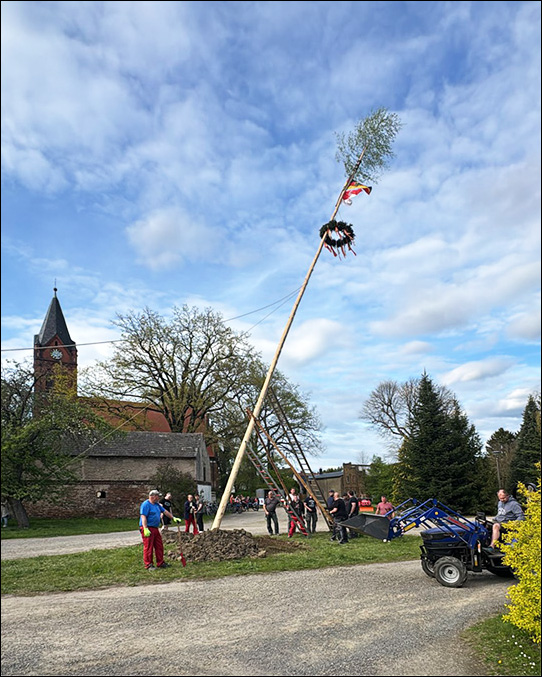 Maibaumstellen